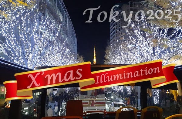 【愛犬同伴プラン】(12/20)クリスマス特別企画2025♪わんちゃんとオープントップで煌めくイルミネーション鑑賞のvipわんツアー!(バスのみプラン)1